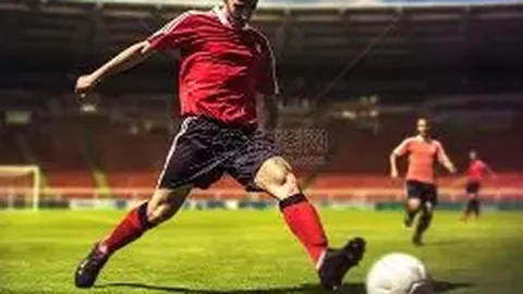 我国国家马术队组建完毕 即将亮相亚洲杯赛场