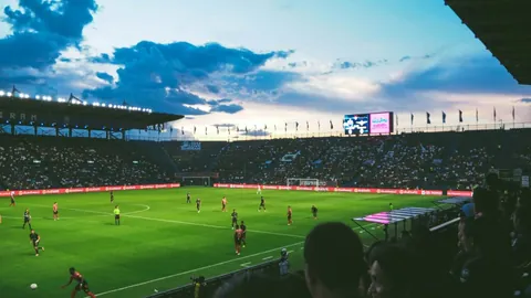 樊振东就WTT声明阐述观点