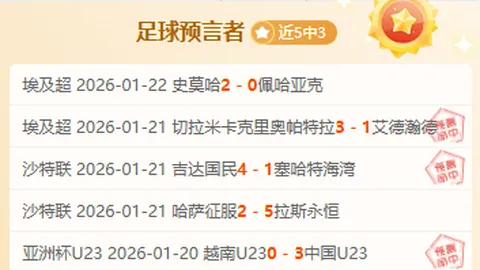 杰拉德·索尔·塞斯接任利兹主帅，維拉离队后成为焦点人物